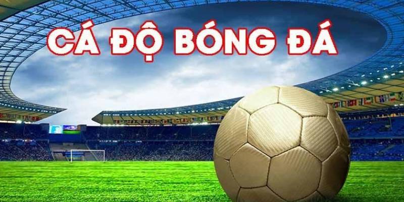 Kèo bóng đá bongvip